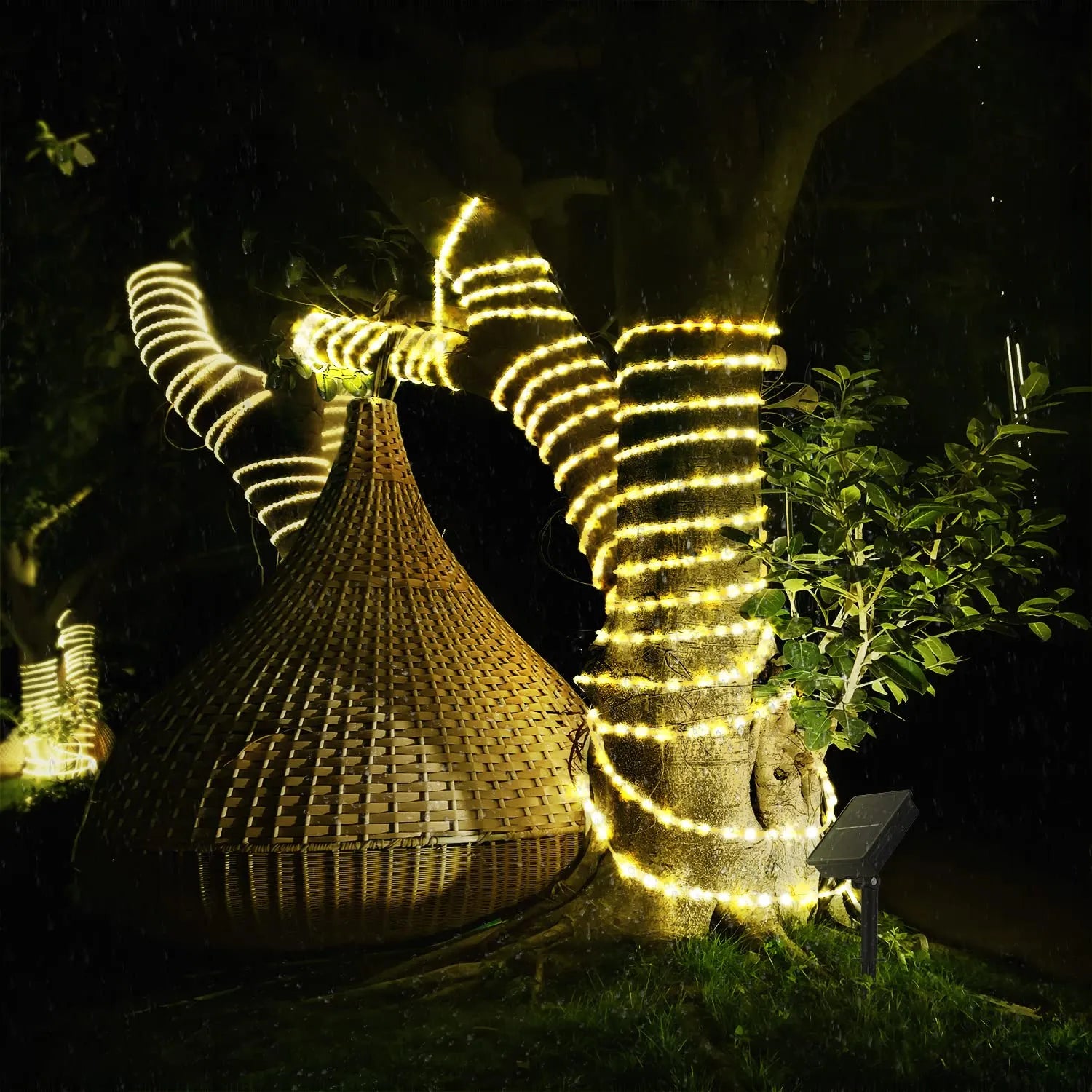 Pisca Pisca LED Solar com Mangueira