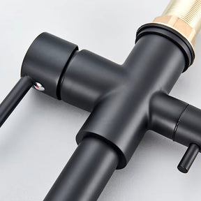 Torneira de Cozinha Gourmet Monocomando Com Filtro